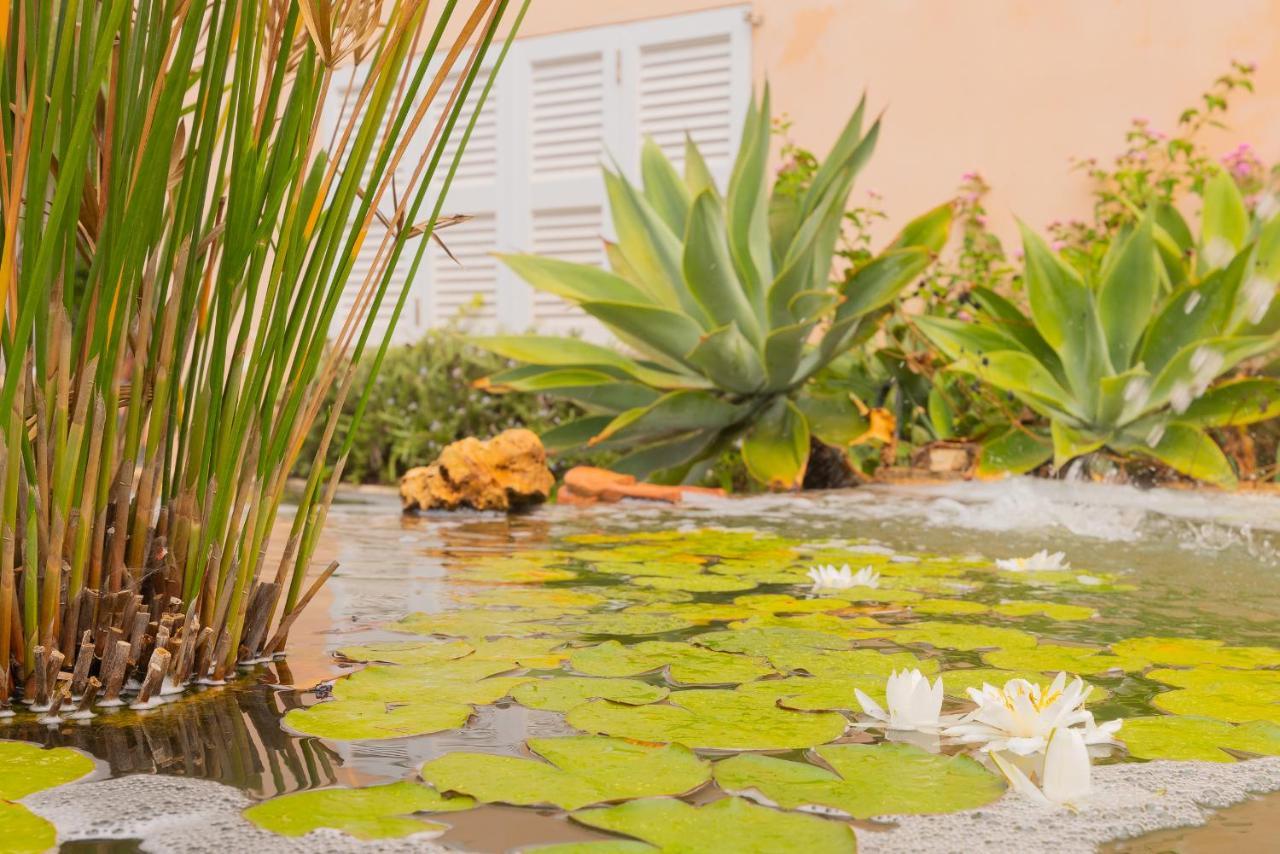 Villa Dolce Vita Пуерто Колом Екстериор снимка